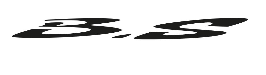logo-bs-1